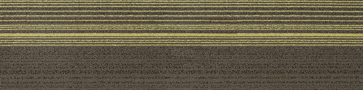 01-6-2