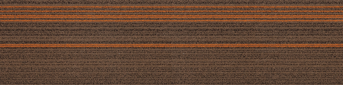 02-1-2