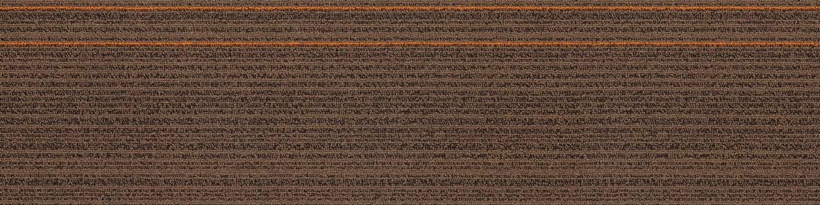 02-3-2