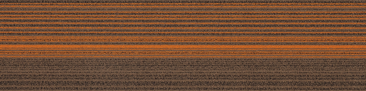 02-4-2