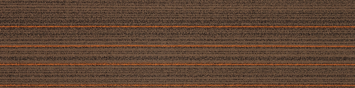 02-6-2