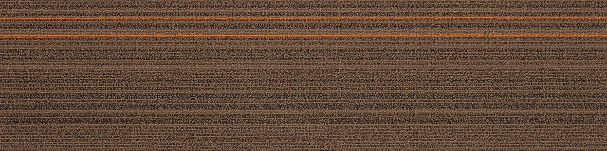 02-8-2