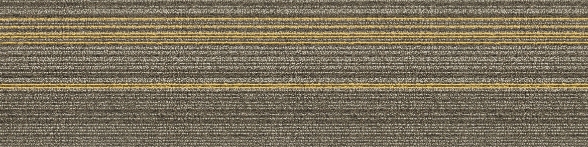 03-1-2