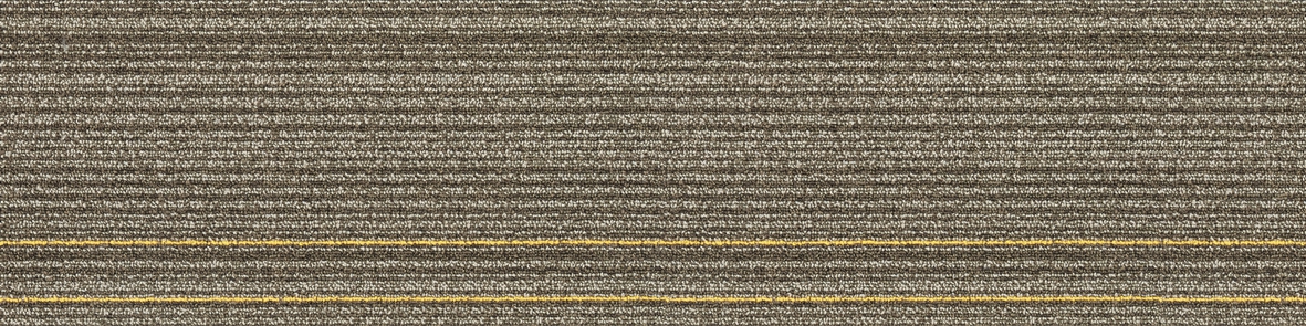 03-3-2