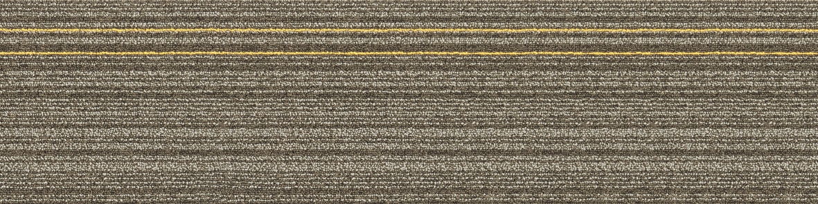 03-6-2
