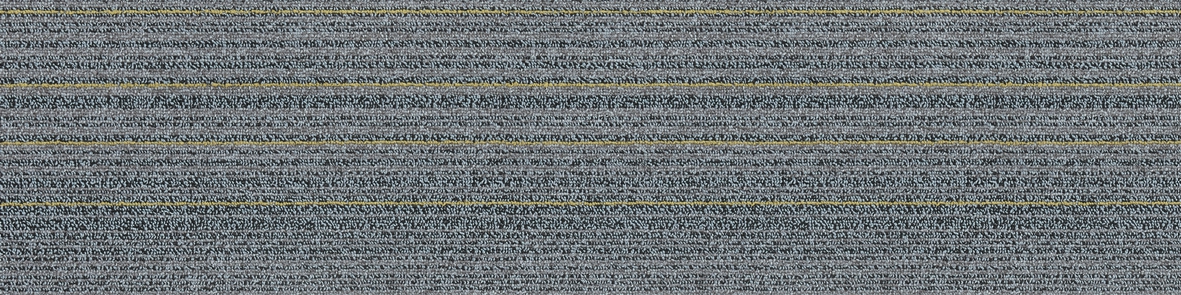 06-3-2