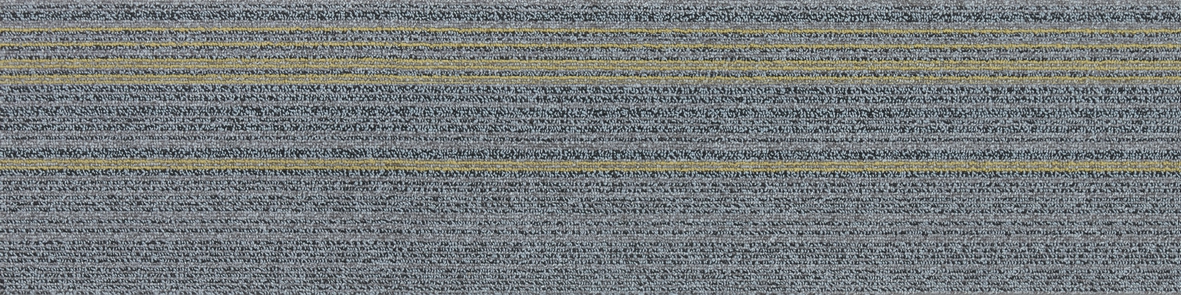 06-5-2