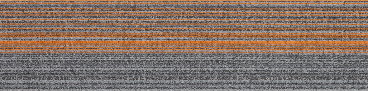 08-1-2